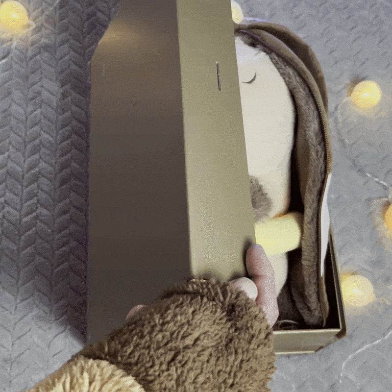 🐹 CapiCalm™ | Le capybara qui respire avec vous