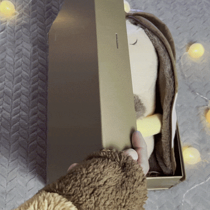 🐹 CapiCalm™ | Le capybara qui respire avec vous